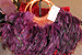 Purple Feathers